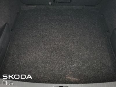 2023 Skoda Octavia