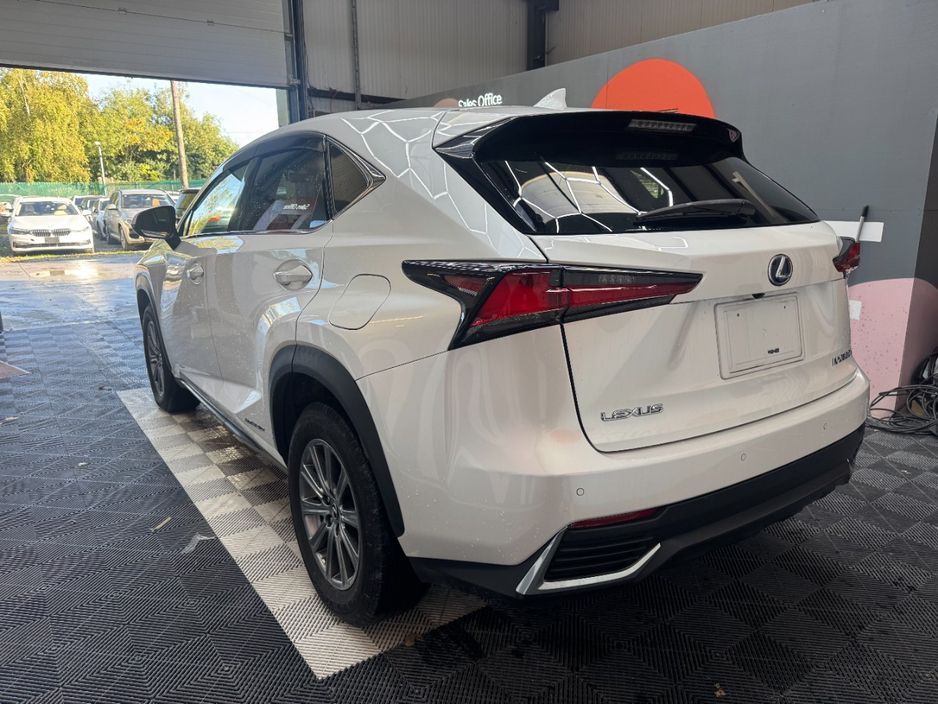 2019 Lexus NX 300h
