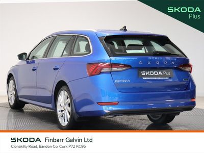 2023 Skoda Octavia