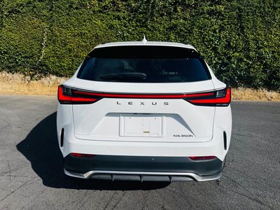 2023 Lexus NX