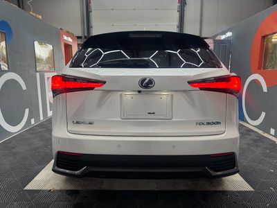 2019 Lexus NX 300h