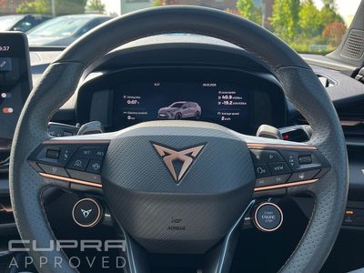 2025 Cupra Terramar