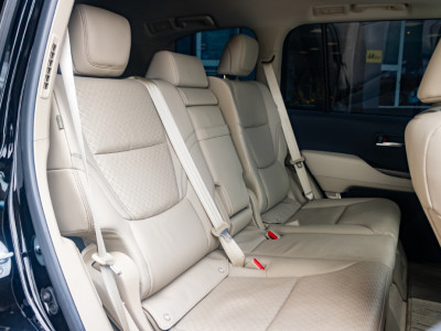 2023 Toyota Land Cruiser Amazon