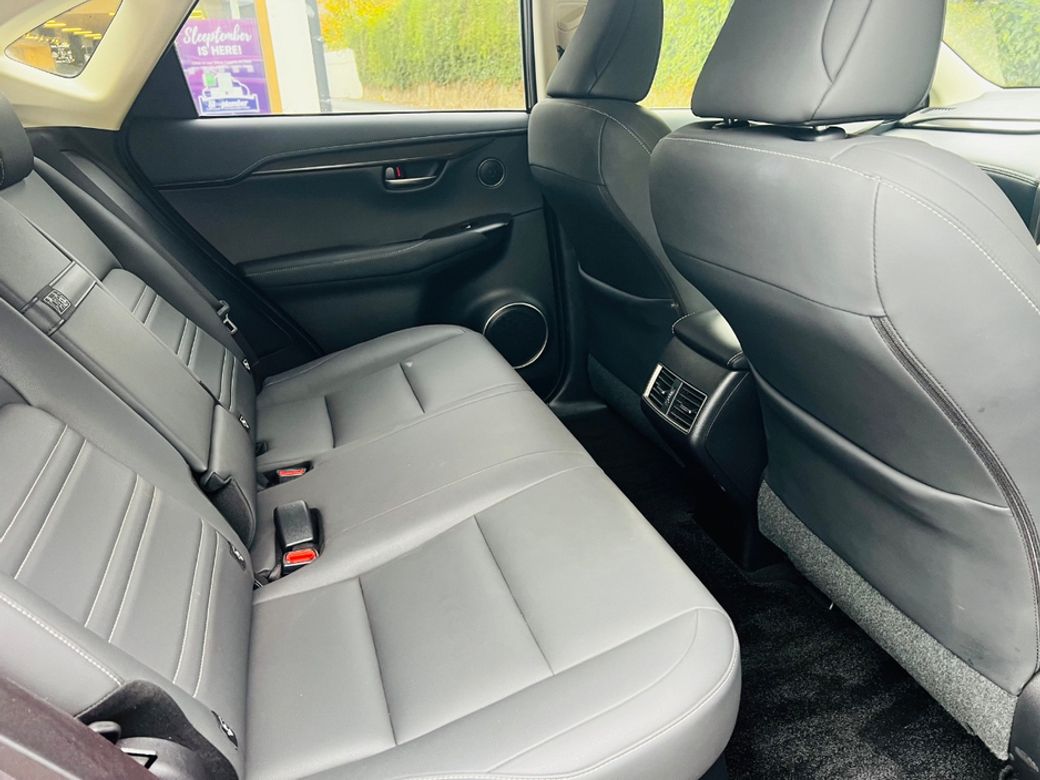 2019 Lexus NX 300h