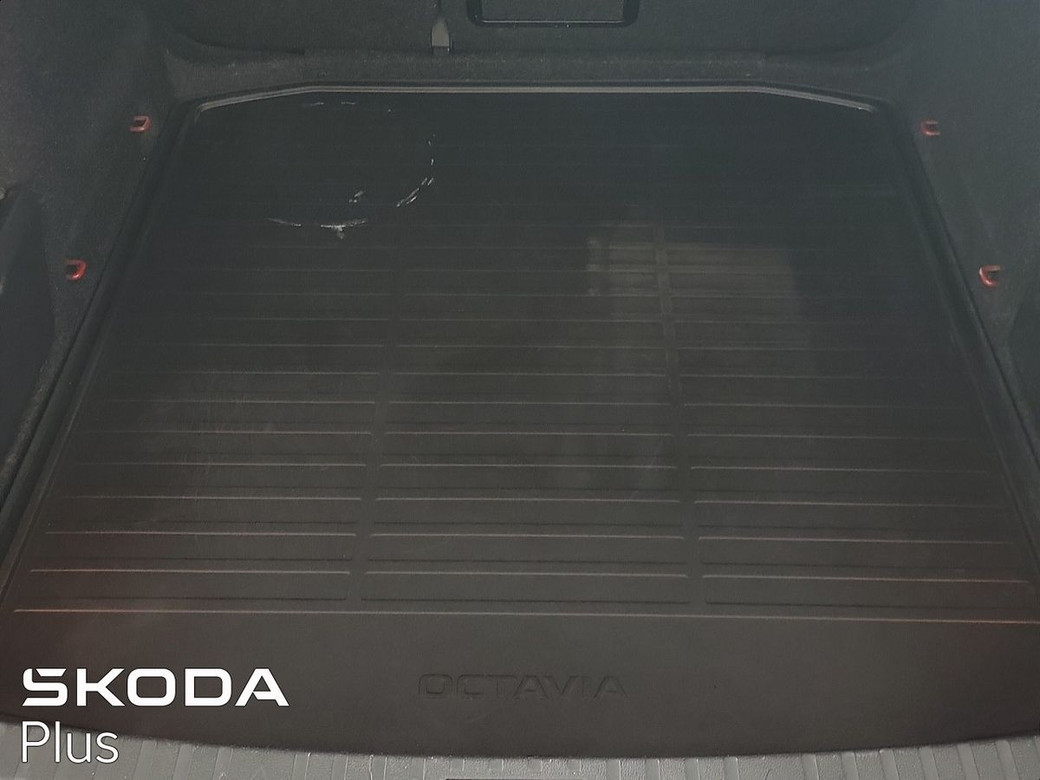 2024 Skoda Octavia