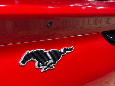 2021 Ford Mustang Mach-e