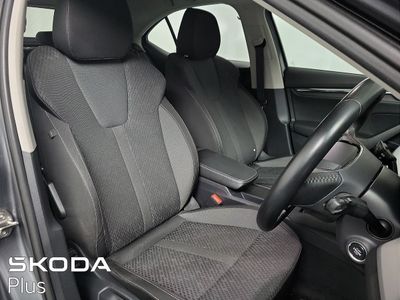 2023 Skoda Octavia