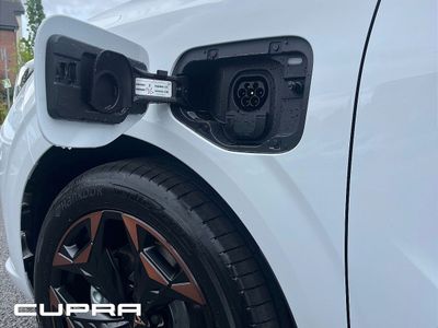 2026 Cupra Terramar