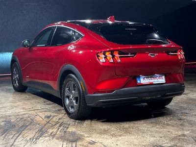 2021 Ford Mustang Mach-e