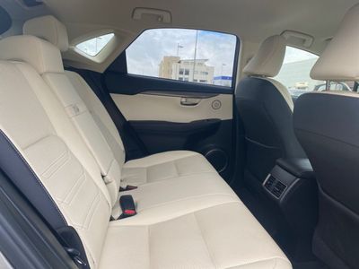 2019 Lexus NX