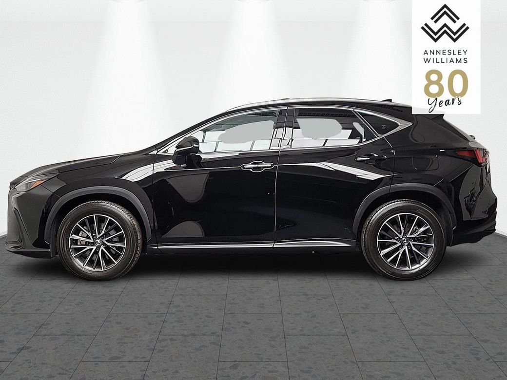 2024 Lexus NX