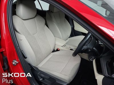 2023 Skoda Octavia