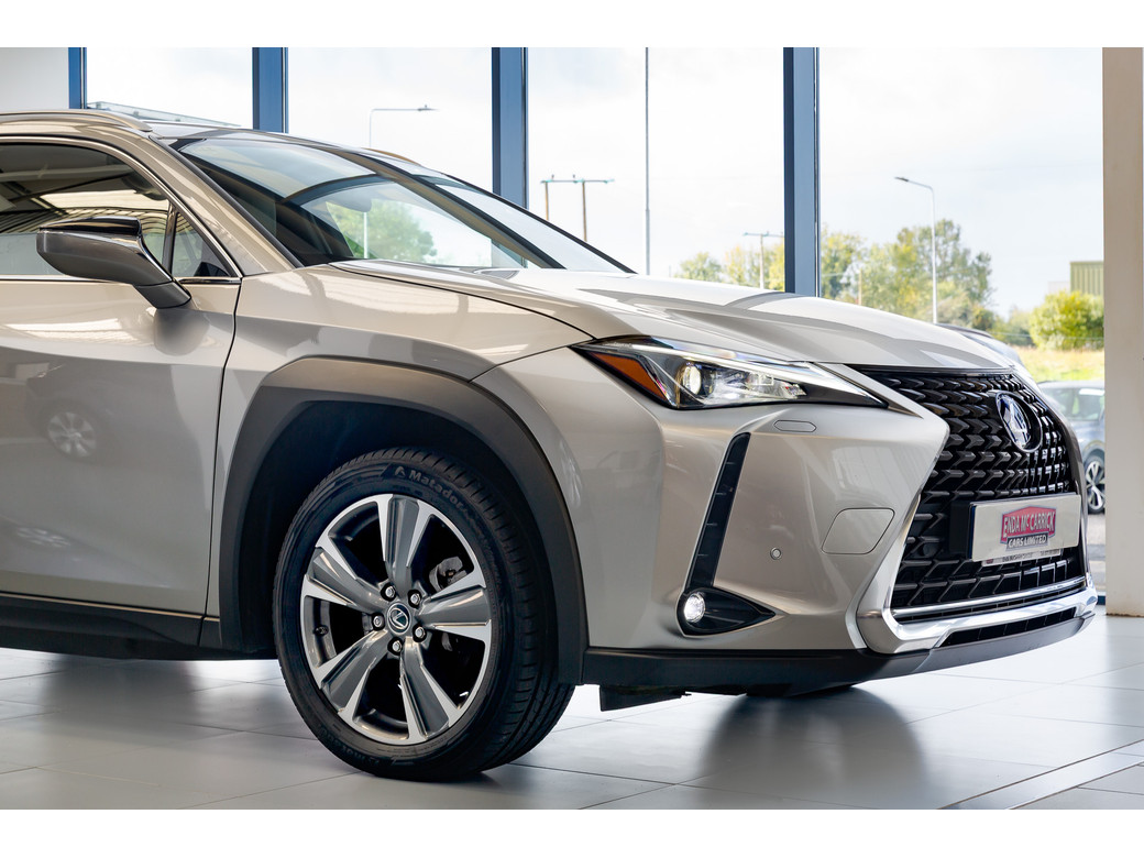 2021 Lexus UX 300e