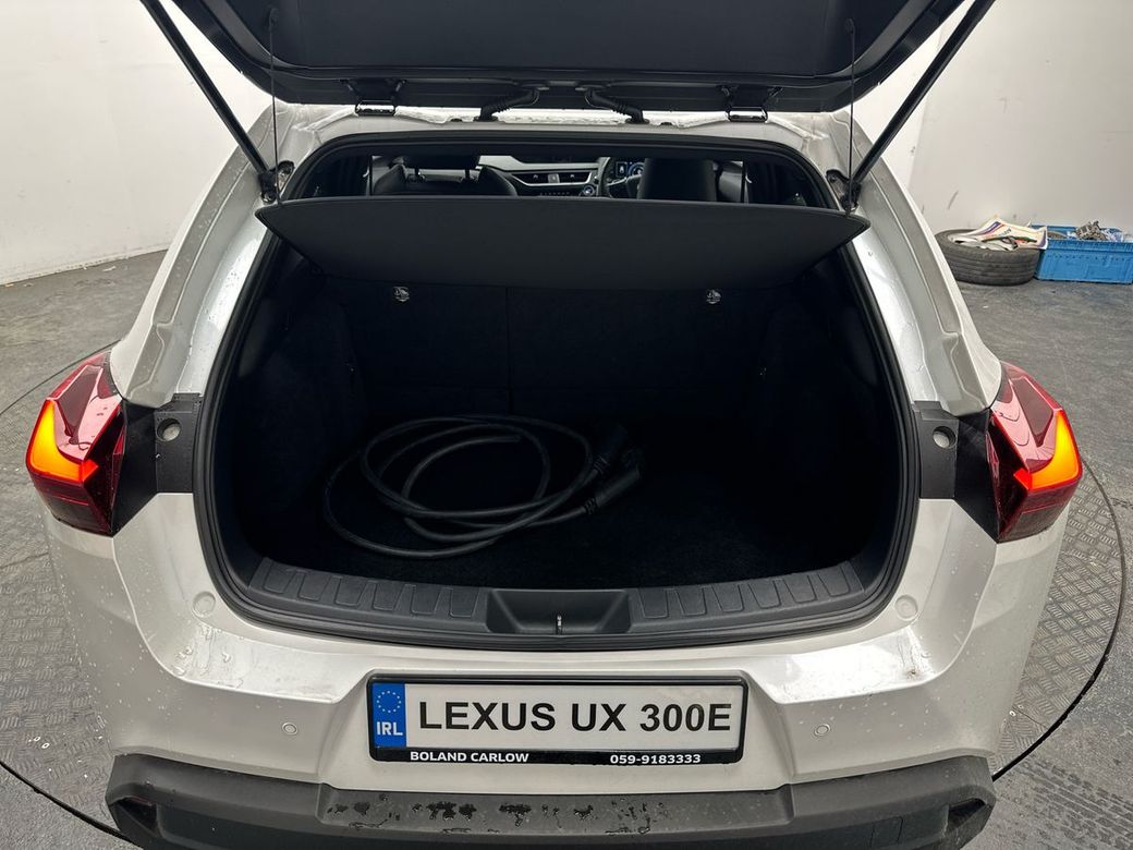 2021 Lexus UX 250H