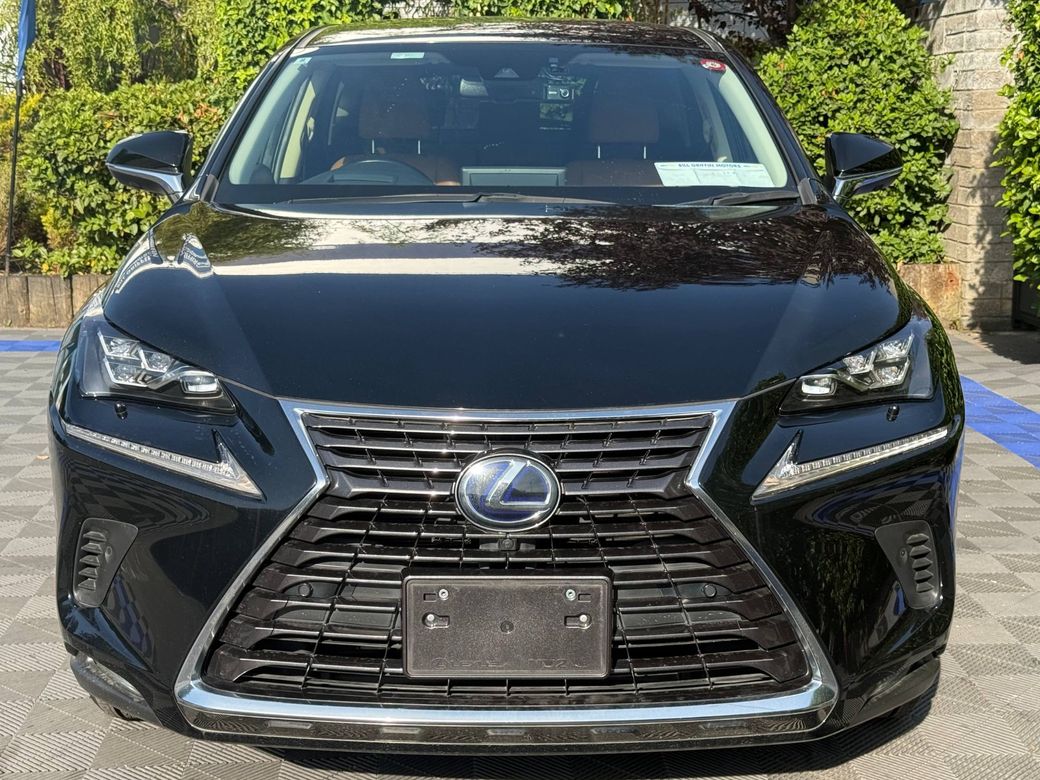 2020 Lexus NX 300h