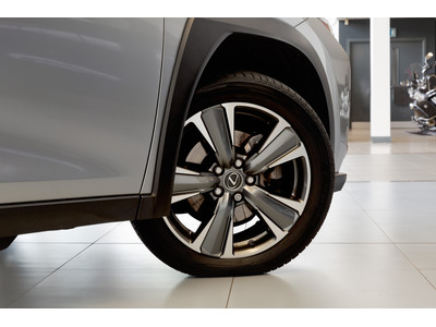 2021 Lexus UX 300e