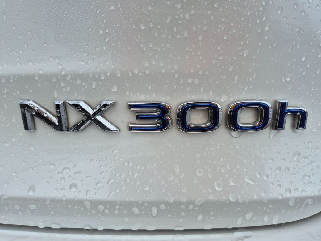 2021 Lexus NX 300h