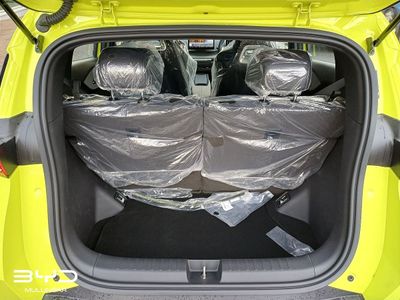 2026 BYD Dolphin Surf