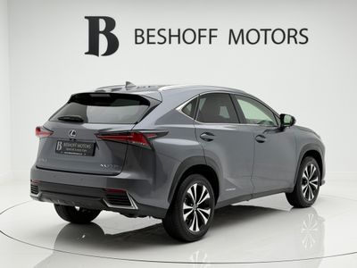 2021 Lexus NX 300h