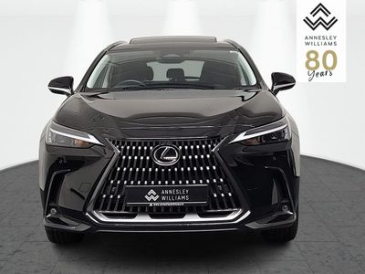 2024 Lexus NX
