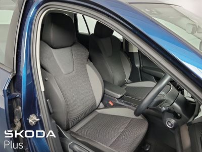 2023 Skoda Octavia