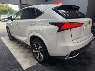 2021 Lexus NX 300h