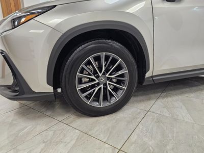 2024 Lexus NX 450H+