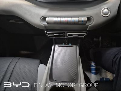 2026 BYD Dolphin Surf