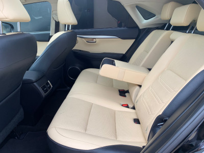 2017 Lexus NX