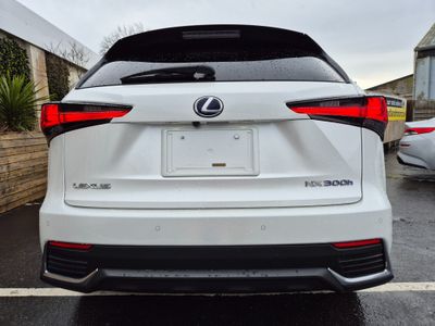 2021 Lexus NX 300h