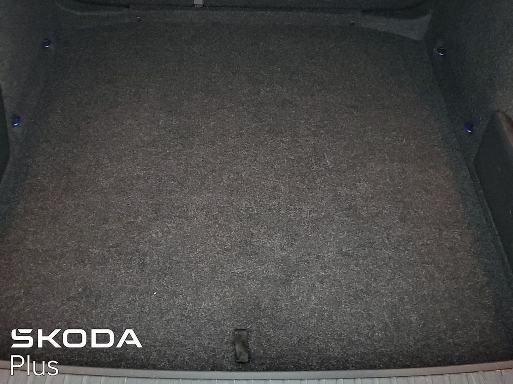 2023 Skoda Octavia
