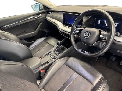 2023 Skoda Octavia