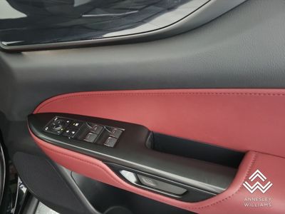 2025 Lexus NX