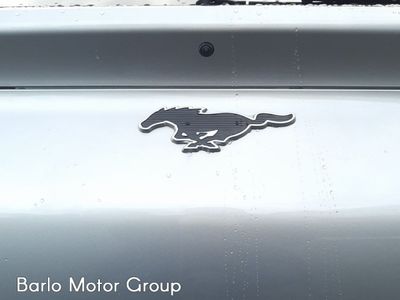 2021 Ford Mustang Mach-e