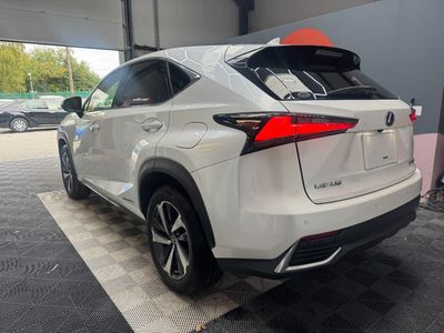 2019 Lexus NX 300h