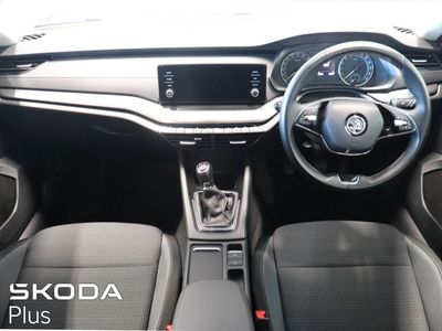 2023 Skoda Octavia