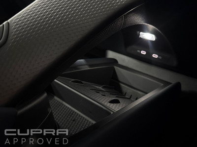 2026 Cupra Tavascan