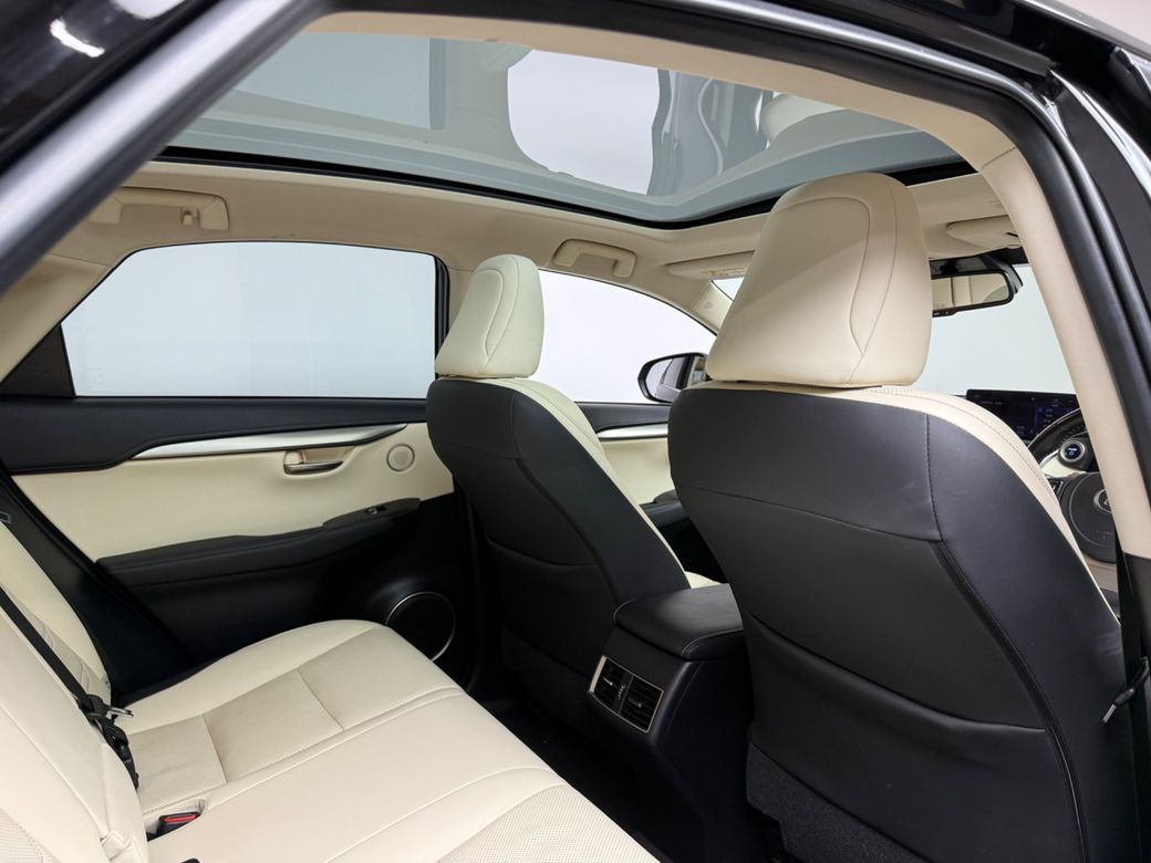 2021 Lexus NX