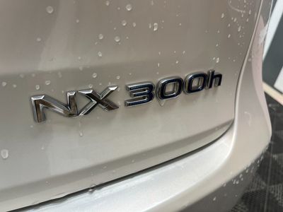 2021 Lexus NX 300h