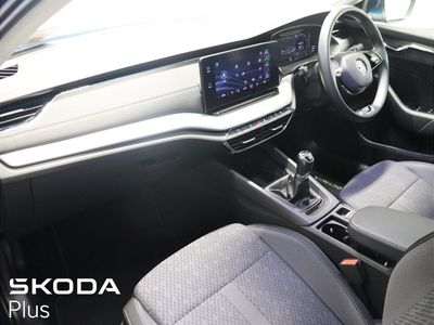 2023 Skoda Octavia