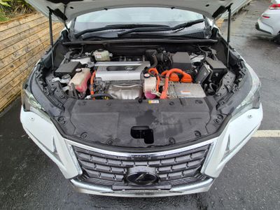 2021 Lexus NX 300h