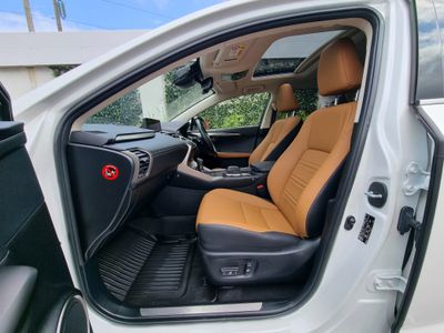 2020 Lexus NX