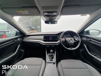 2023 Skoda Octavia