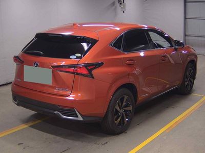 2020 Lexus NX