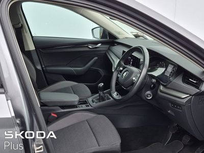 2023 Skoda Octavia