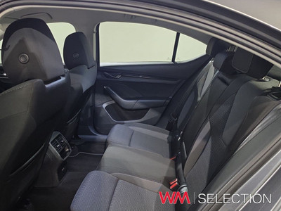 2023 Skoda Octavia