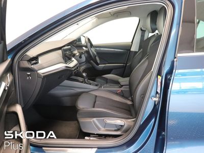 2023 Skoda Octavia