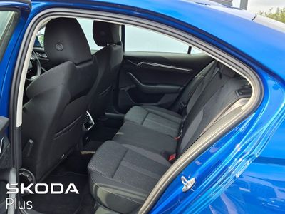 2023 Skoda Octavia