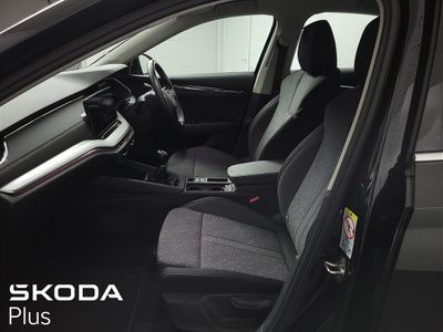 2023 Skoda Octavia