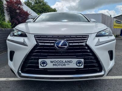 2020 Lexus NX
